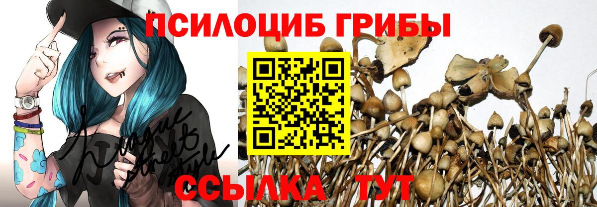 Галлюциногенные грибы GOLDEN TEACHER Лесосибирск